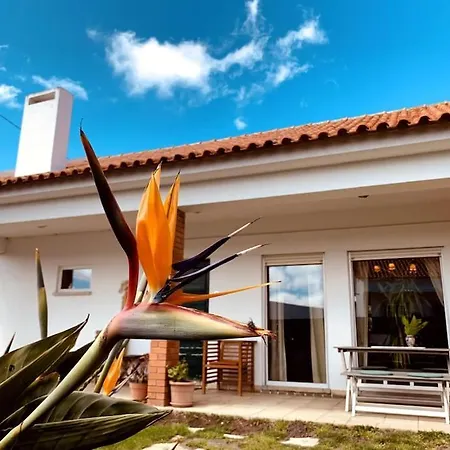 Charming House In With Private Pool *